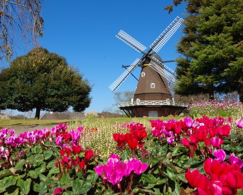 千葉県の遊園地 ベスト10 トリップアドバイザー
