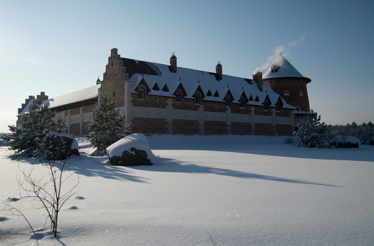 Отдых в замке. - отзыв о La Ferme de Reve, Доношово, Россия - Tripadvisor