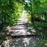 Valea Trandafirilor Park