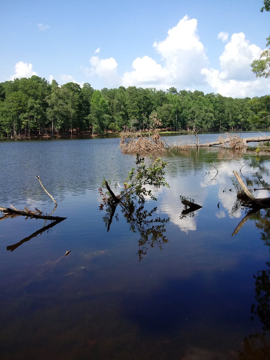 Escape To Mississippi’s Gem: Clarkco State Park, Where Nature’s Beauty Unfolds