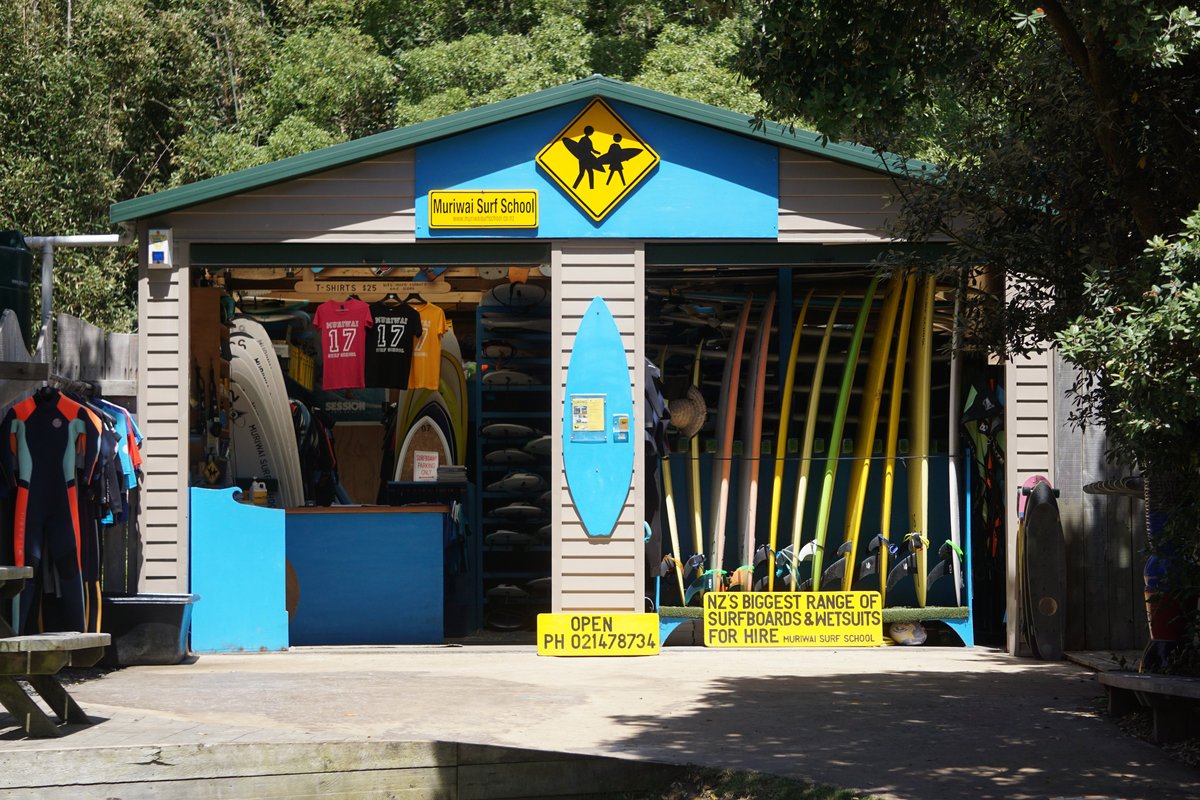 Muriwai Surf School - All You Need to Know BEFORE You Go (2024)