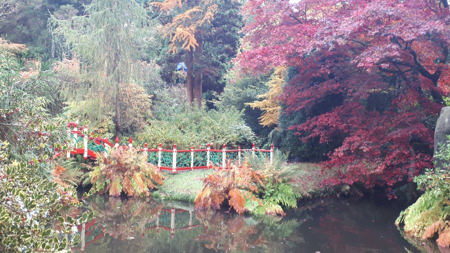 Chinese garden, Biddulph Grange
