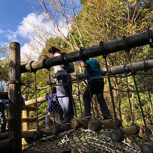 近畿地方の遊園地 ベスト10 トリップアドバイザー