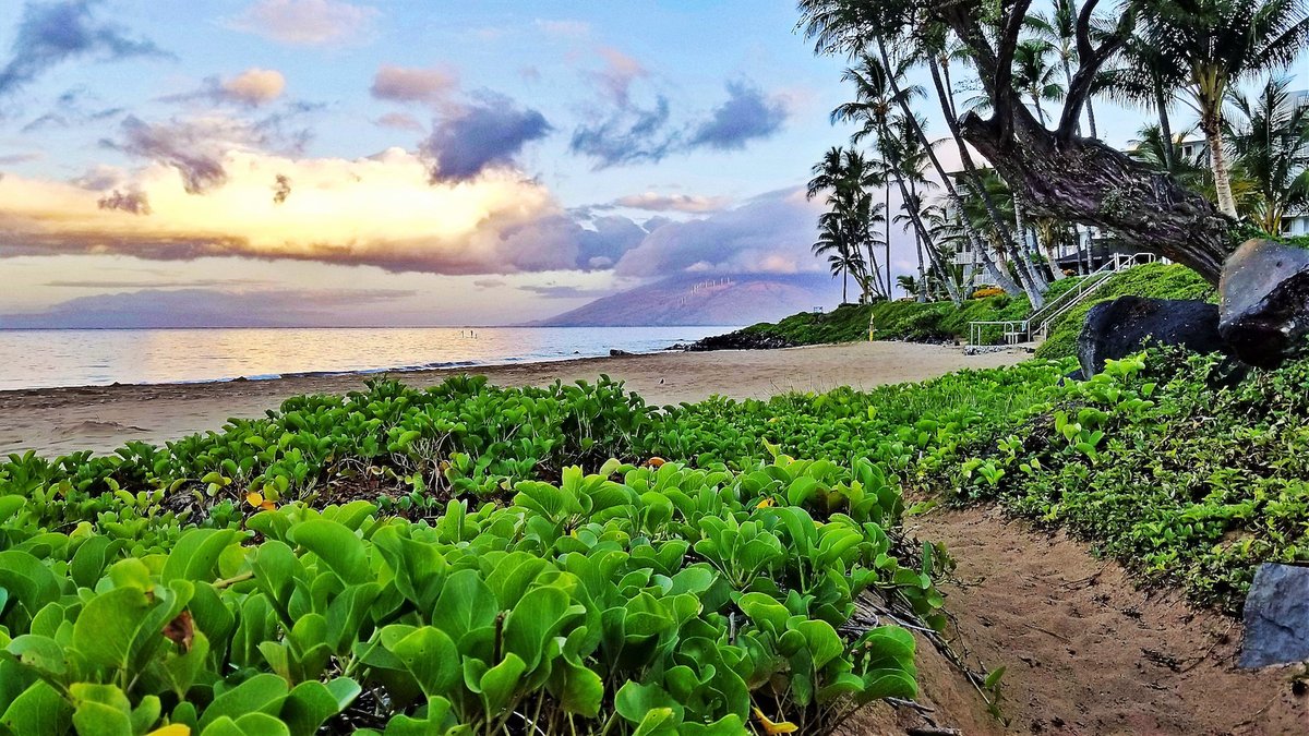 The Hale Pau Hana Pool: Pictures & Reviews - Tripadvisor