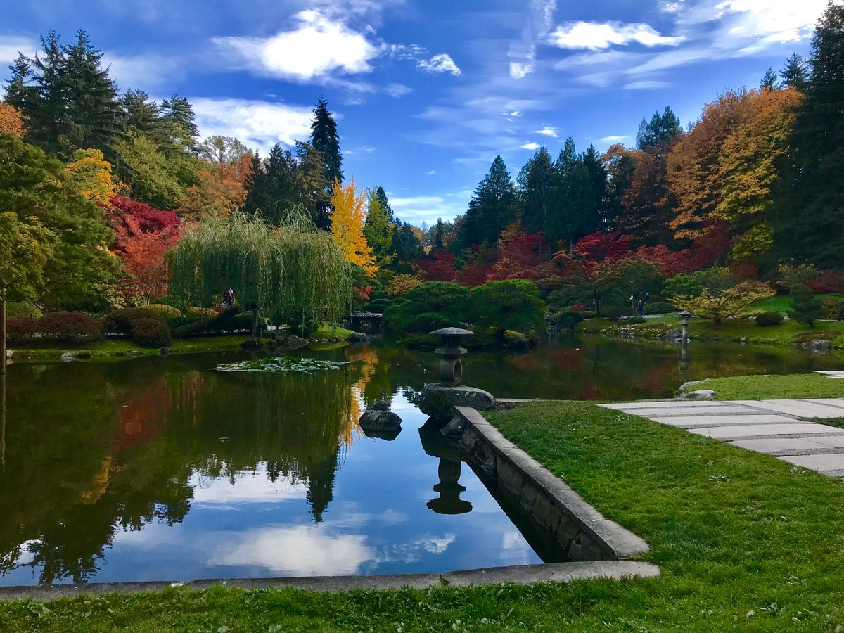 Seattle Japanese Garden, Сиэтл: лучшие советы перед посещением - Tripadvisor