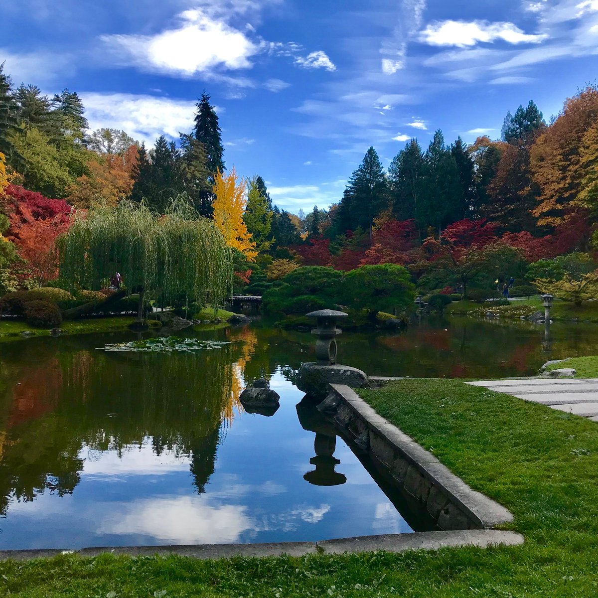 Seattle Japanese Garden, Сиэтл: лучшие советы перед посещением - Tripadvisor