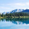 Things To Do in Discover Lake Louise, Restaurants in Discover Lake Louise
