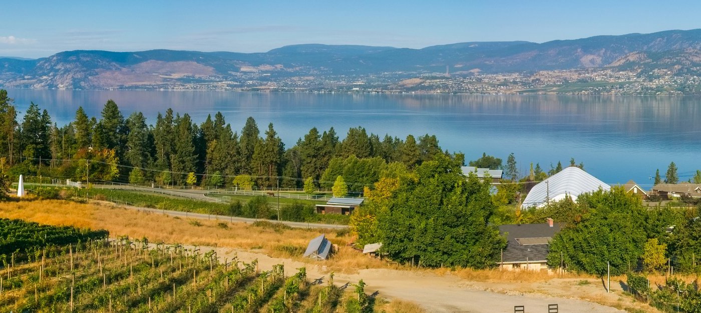 trip advisor reviews kelowna