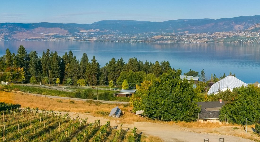 trip advisor kelowna