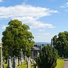 Things To Do in Central Scotland Driving Tour - Stirlingshire (Private), Restaurants in Central Scotland Driving Tour - Stirlingshire (Private)