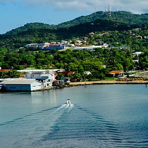 hotels near barbados cruise port