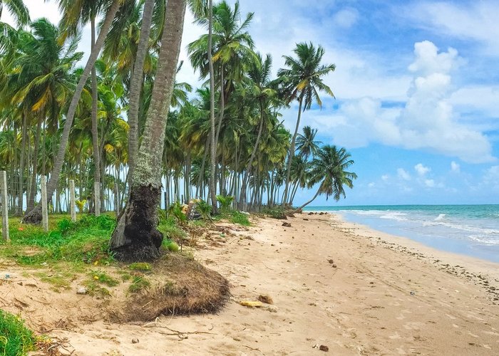 O Que Vi Pelo Mundo - As galinhas, os turistas e a volta das viagens!