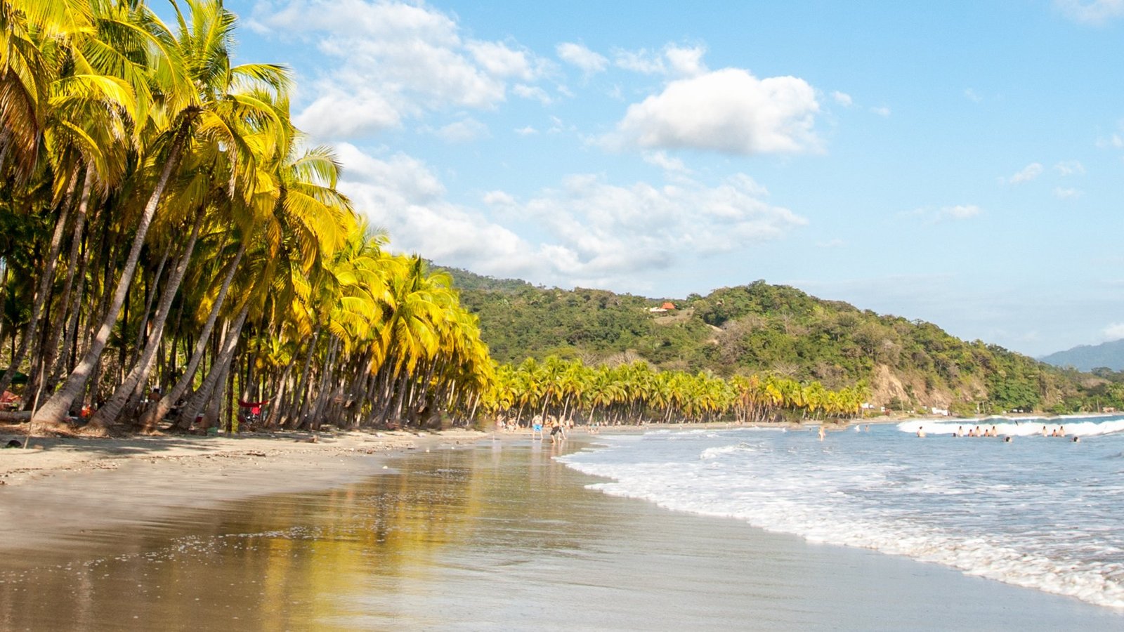 THE 10 BEST Hotels in Playa Samara for 2023 (from $20) - Tripadvisor