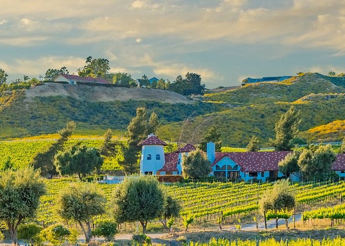 Best Time To Visit Temecula Valley Wine Country — Temecula Valley Jeep &  Wine Tours