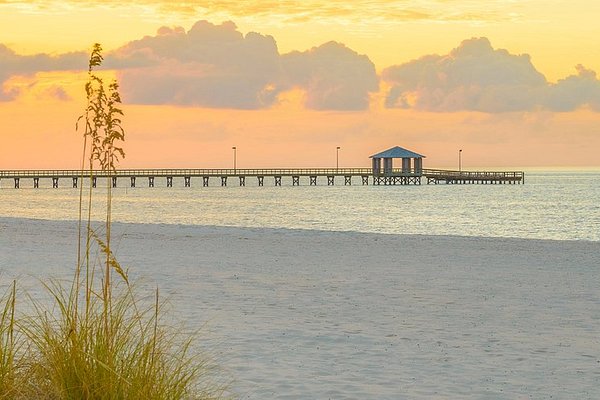 Pier makes a great backdrop at sunrise! - Picture of Gulf State Park Fishing  Pier, Gulf Shores - Tripadvisor