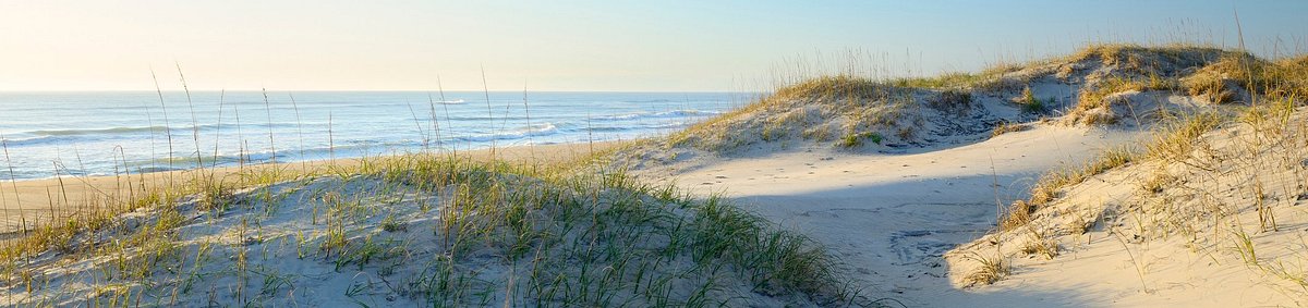 Ocean Isle Beach Kitchen Towels - Islands Art & Bookstore