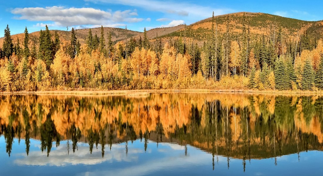 Fairbanks Tourism and Holidays: Best of Fairbanks, AK - Tripadvisor