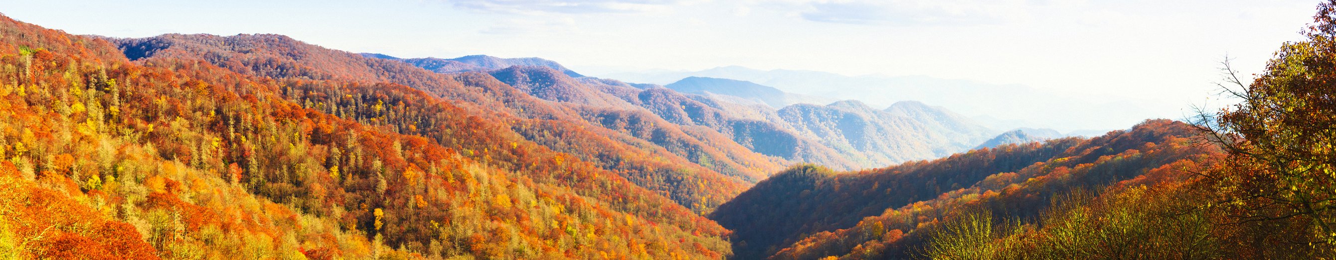 THE 10 BEST Hotels In Gatlinburg For 2024 From C 82 Tripadvisor   Gatlinburg 