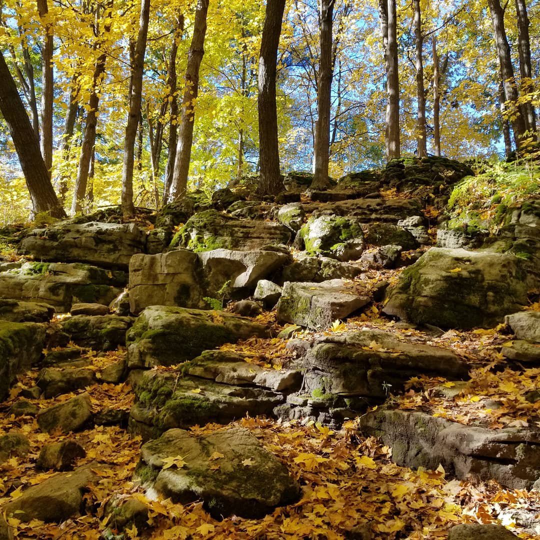 KERNCLIFF PARK (Burlington): Ce Qu'il Faut Savoir Pour Votre Visite