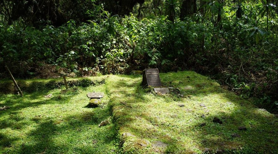 tablice nagrobne Dian Fossey i goryla Digit  