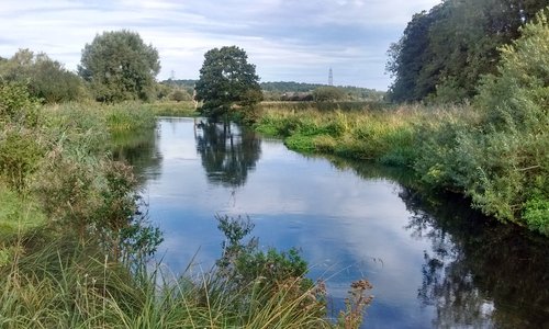 Countryside further down the river walk
