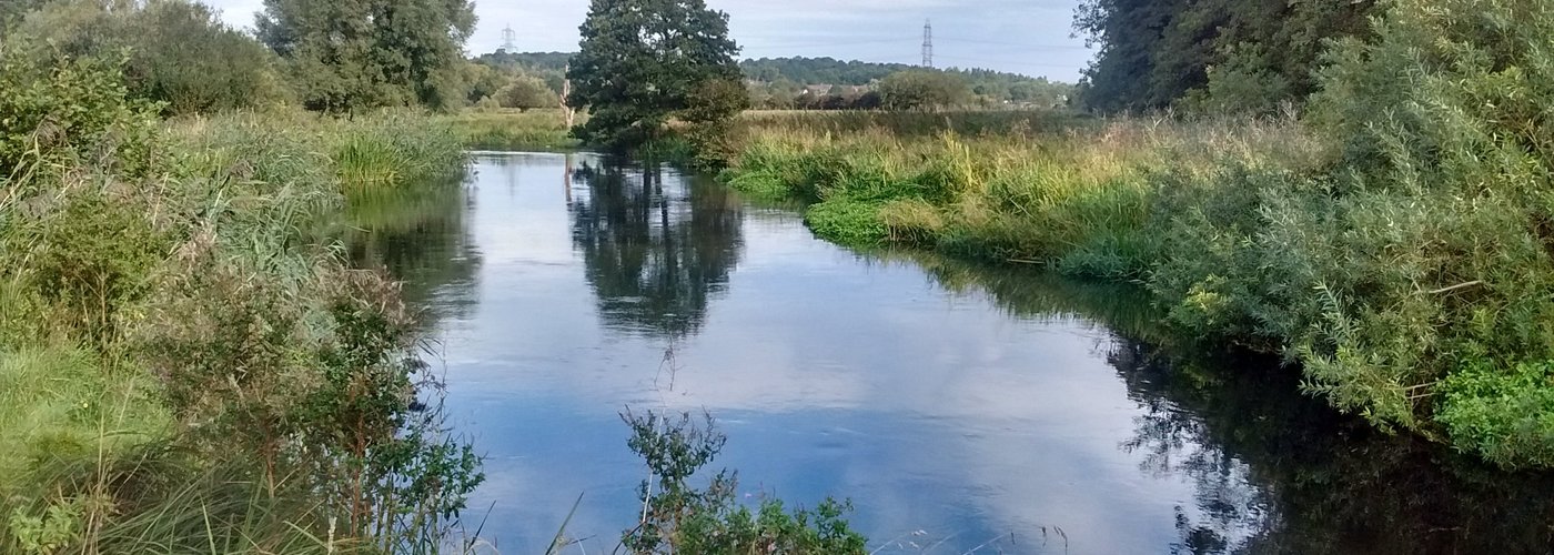 Countryside further down the river walk