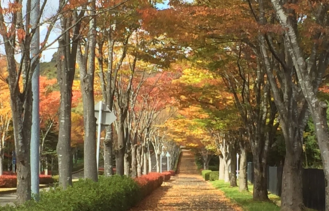 miyagi prefecture tourism