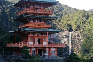 部屋からの眺め