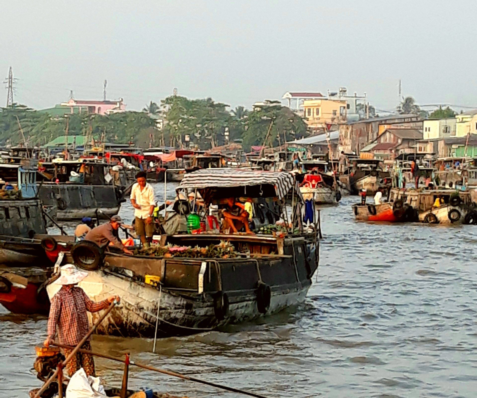 Can Tho River Tour Lo que se debe saber antes de viajar Tripadvisor