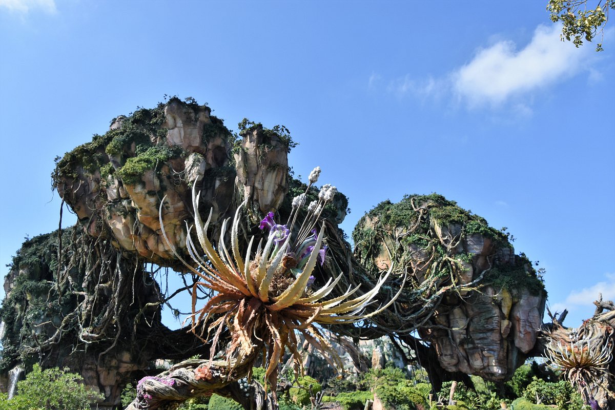 Pandora – The World of Avatar (Orlando) - All You Need Know BEFORE You Go