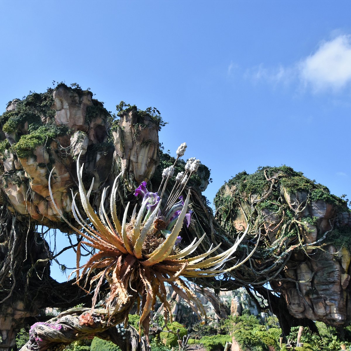 PANDORA – THE WORLD OF AVATAR (Orlando) - All You Need to Know BEFORE You Go