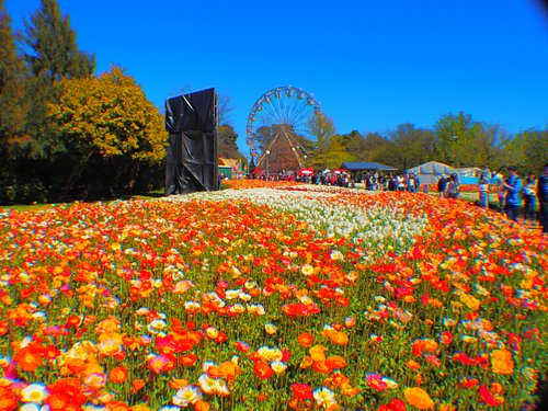 canberra best tourist attractions