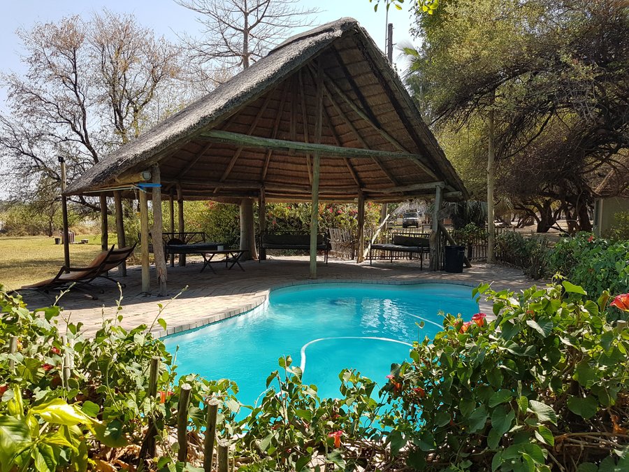 OKAVANGO RIVER LODGE - Reviews (Maun, Botswana) - Tripadvisor