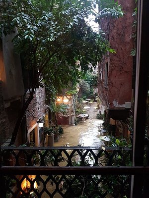HOTEL FLORA - Prices & Reviews (Venice, Italy) HOTEL FLORA - Prices & Reviews (Venice, Italy)