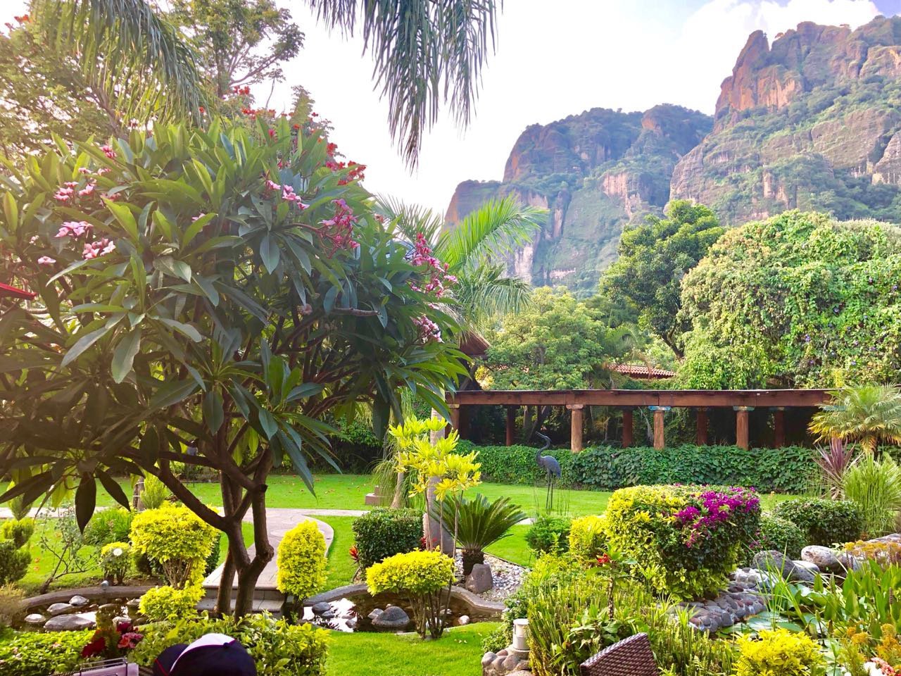 La Buena Vibra Wellness Resort and Spa by null