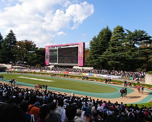 22年 府中市で絶対外さないおすすめ観光スポットトップ10 定番から穴場まで トリップアドバイザー