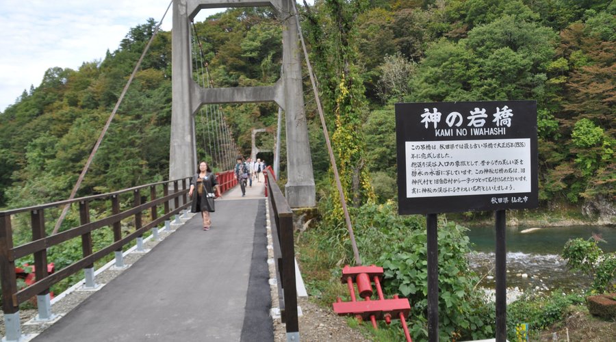 The only foot bridge in the area