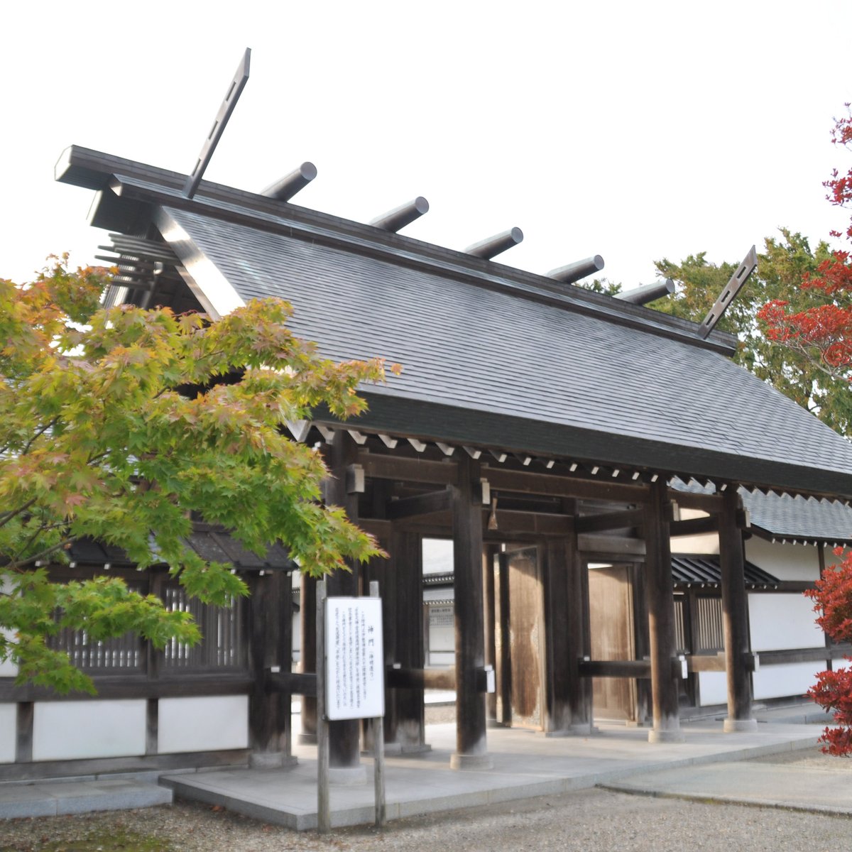 THE RUINS OF AKITA CASTLE - 2022 What to Know BEFORE You Go