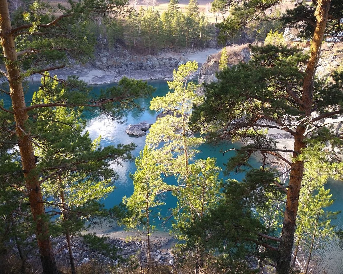 озеро моховое алтайский край курьинский район