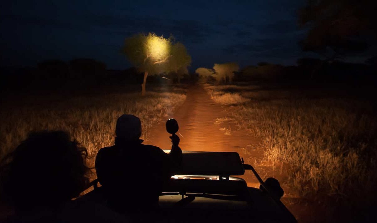 Kruger National Park Night Drive, Марлот-Парк: лучшие советы перед  посещением - Tripadvisor