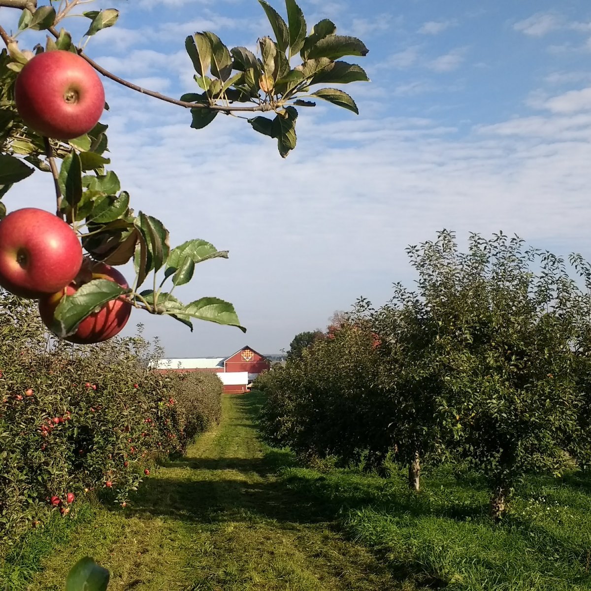 Apple Barn Orchard and Winery (Elkhorn) All You Need to Know BEFORE