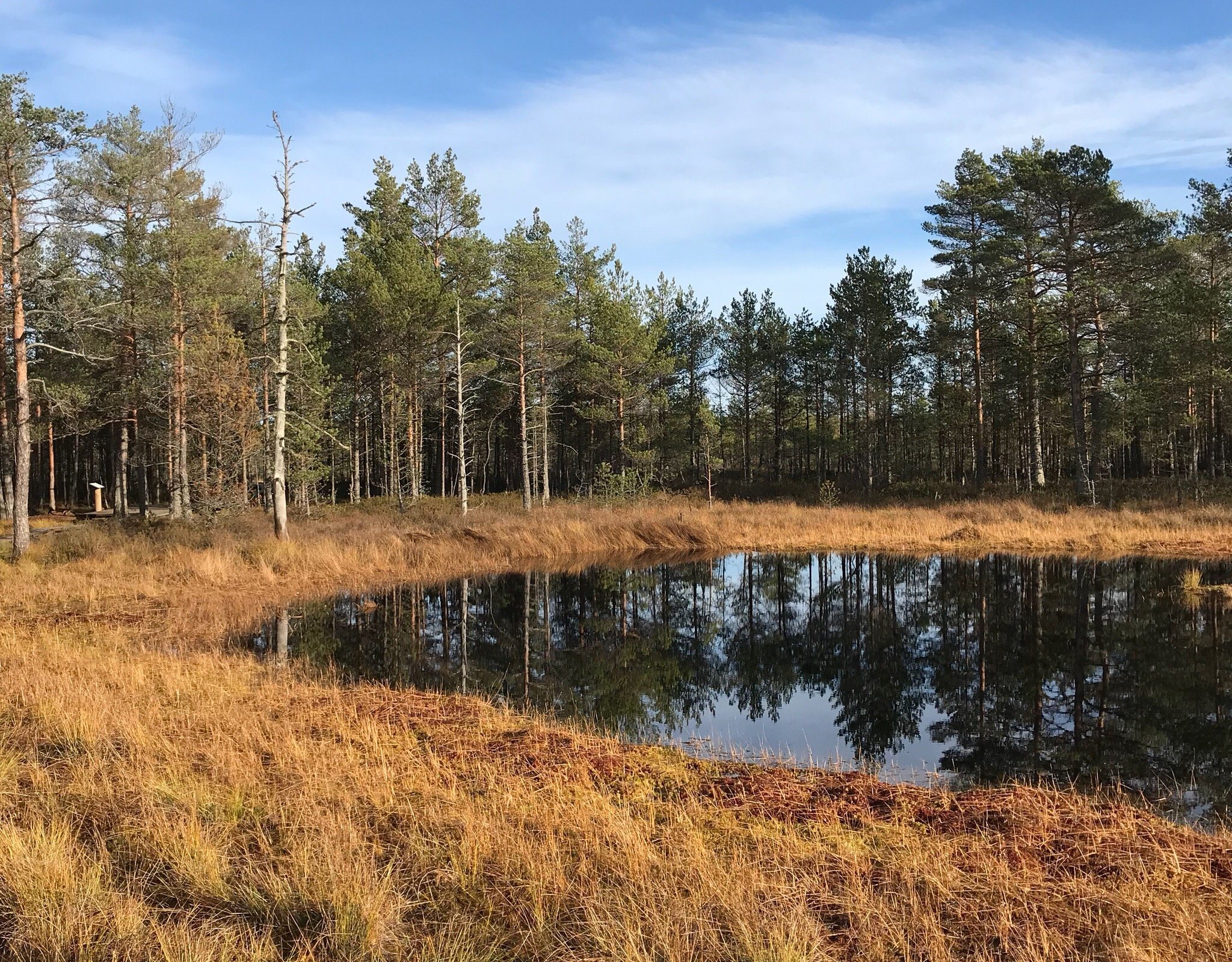 Tour of Lahemaa National Park and Manor Houses (Tallinn) - All You Need ...