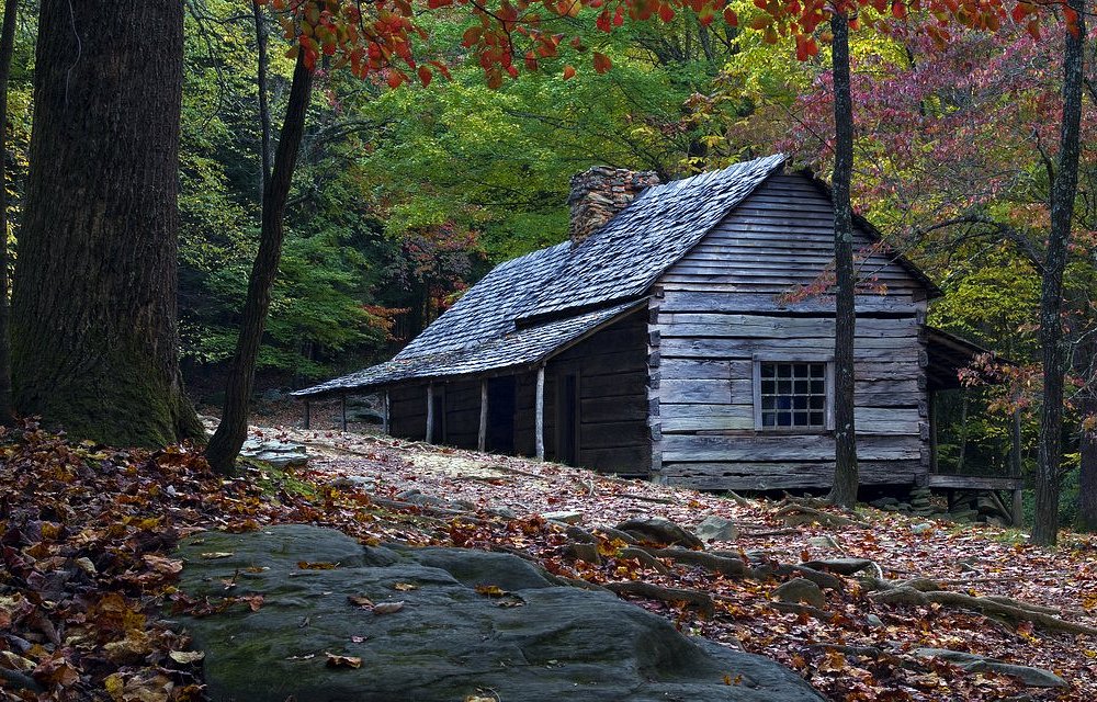 THE 10 BEST Things to Do in Gatlinburg with Kids (Updated 2024)