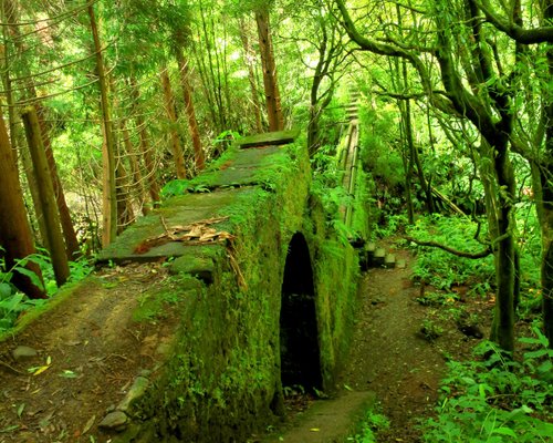 As melhores trilhas de Moto Trail em Pico da Urze, Açores (Portugal)