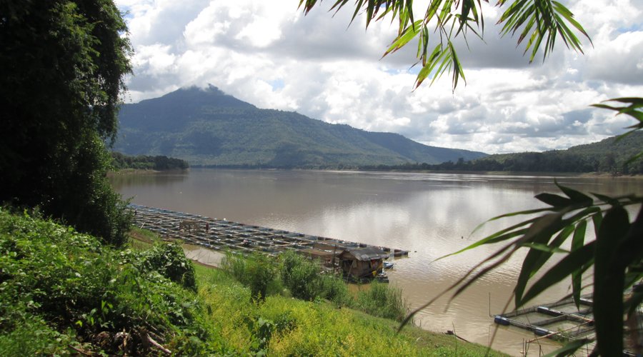 Mekong view