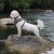 Blaithin