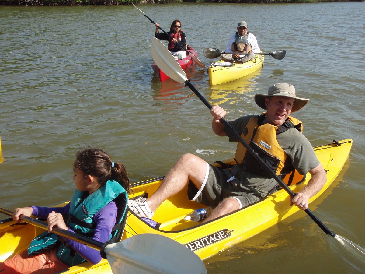 everglades boat tours chokoloskee fl