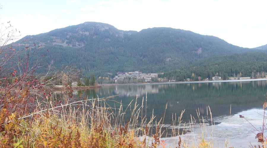 pano 