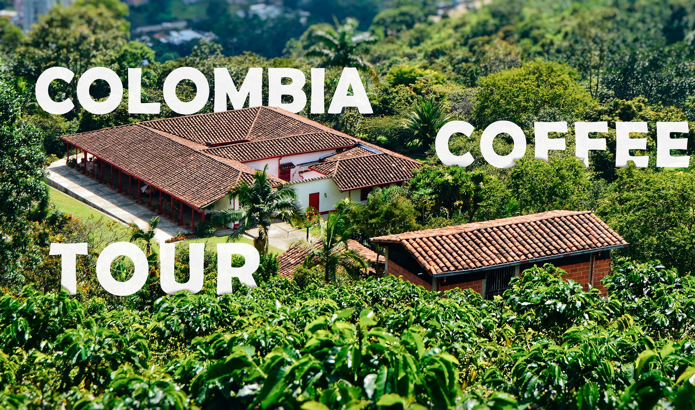 coffee tour from medellin