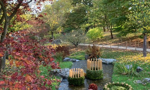 Prachtige herfstkleuren Hele mooie tuin om rustig tot jezelf te komen. De tekst in het Japans klopt hellemaal “ Een moment, een actieviteit